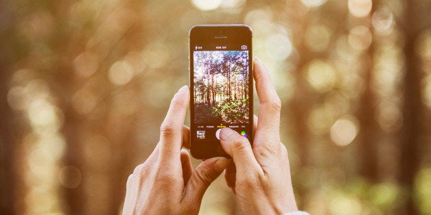 Cropped image of woman photographing trees through smart phone in forest