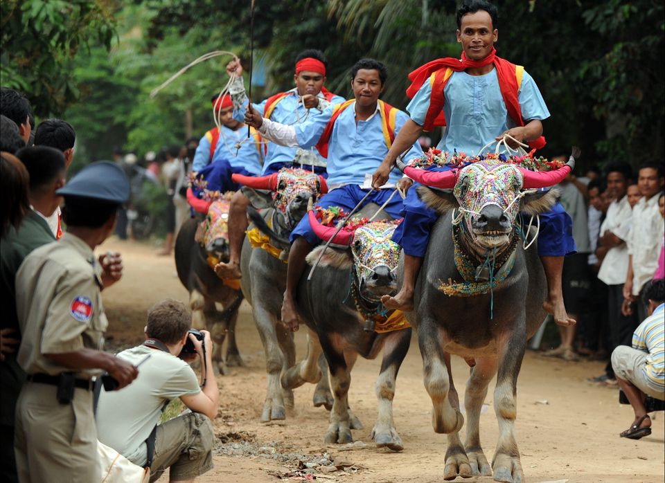 Cambodian villagers ride buffalos