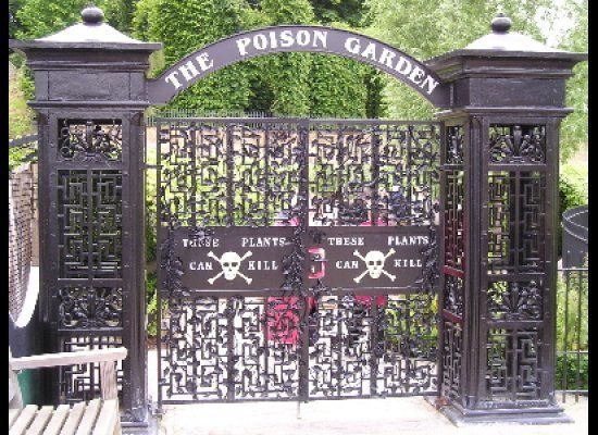 The Poison Garden - Alnwick, England