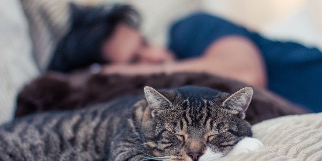 Man and a cat taking a nap on the couch