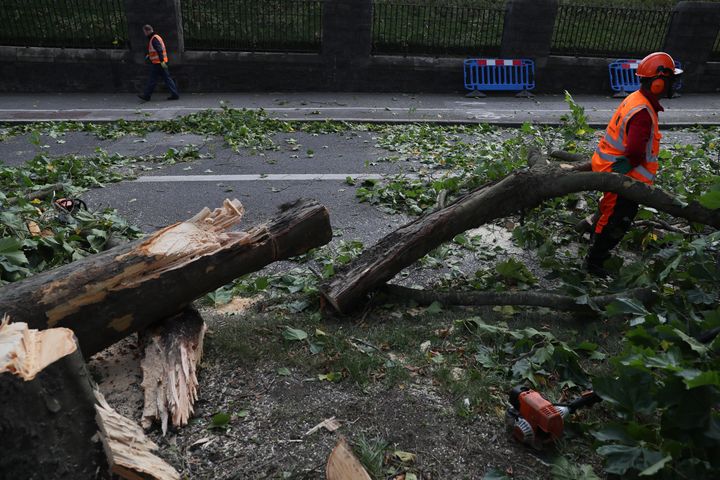 Workmen deal with a fallen tree by Glasnevin Cemetery, Dublin 