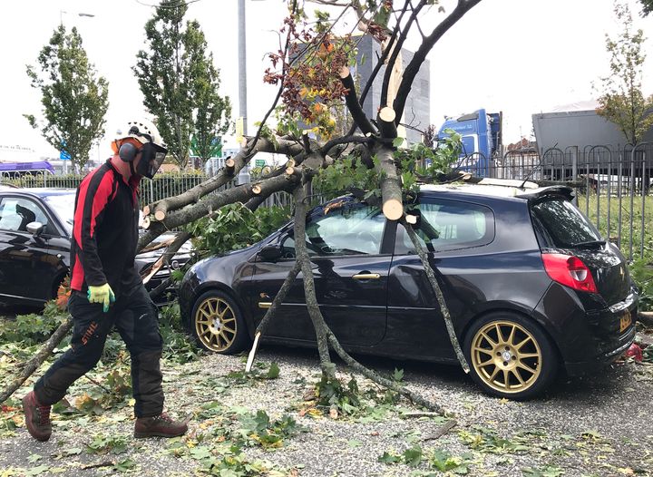 A car crushed by a tree in Belfast 