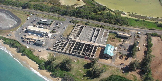 <a href="http://www.flickr.com/people/starr-environmental/">Image Use Policy</a>