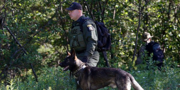 A law enforcement officer and dog prepare to walk into the woods as the search continues for two escaped prisoners from Clinton Correctional Facility, on Wednesday, June 24, 2015, in Mountain View, N.Y. Hundreds of searchers checked ATV trails and logging roads and went door-to-door in far northern New York trying to close in on David Sweat and Richard Matt, who escaped from the maximum-security prison more than two weeks ago.(AP Photo/Mike Groll)