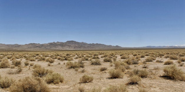 mojave desert