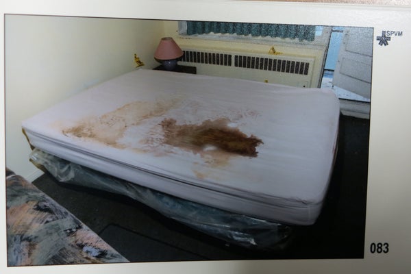 Gruesome Crime Scene Photos Shown At Luka Magnotta Trial Warning A Blood Stained Mattress Found In Magnotta S Apartment