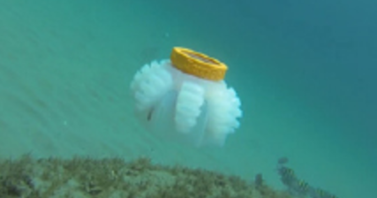 A Floating Robotic Jellyfish Has Been Designed To Protect Coral Reefs