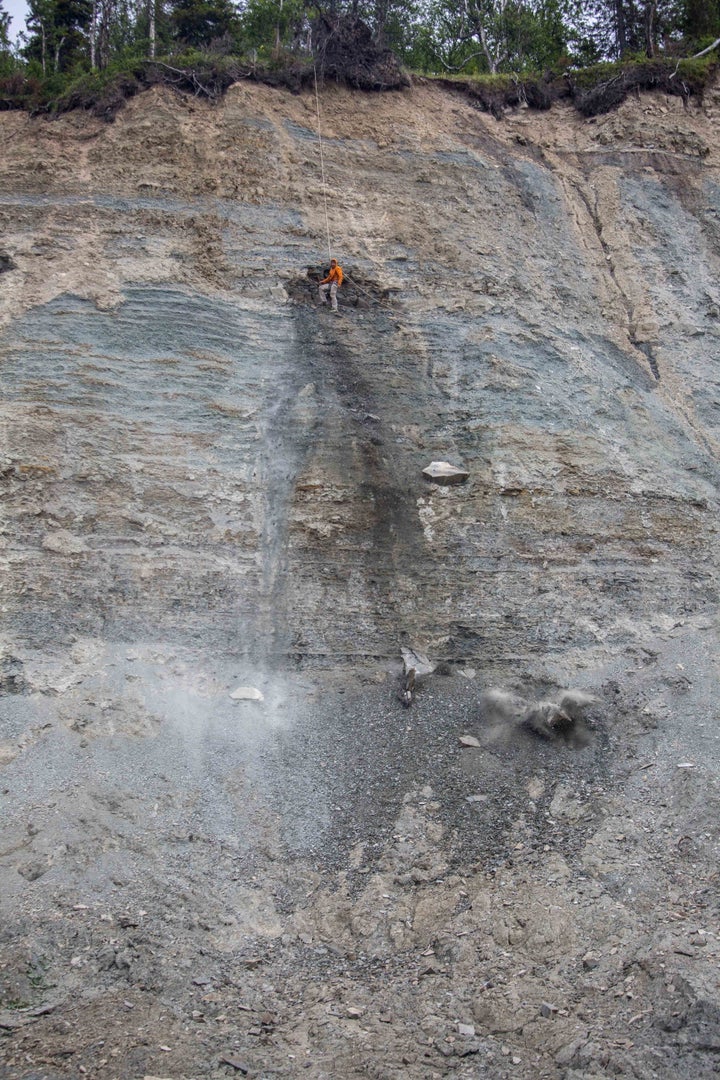 Ilya Bobrovskiy searches for fossils in Zimnie Gory in northwest Russia.