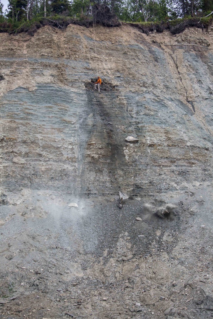 Ilya Bobrovskiy searches for fossils in Zimnie Gory, northwestern Russia.