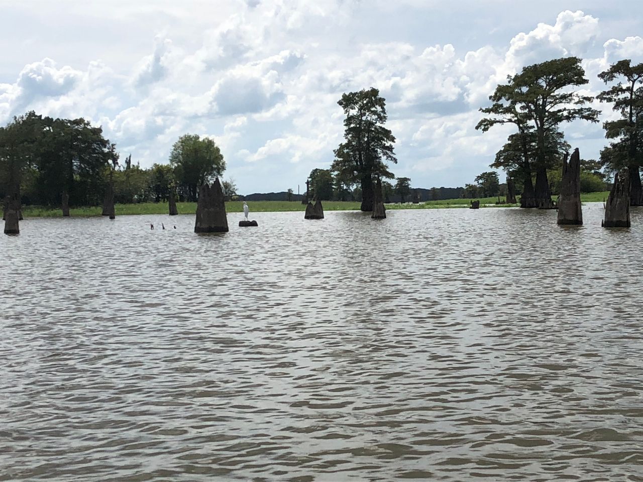 The Atchafalaya Basin is the largest wetland in the United States.