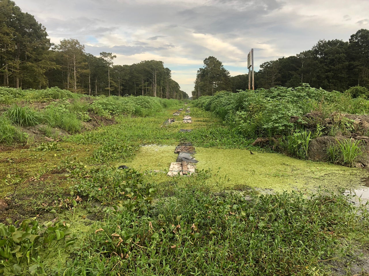 The current status of the Bayou Bridge pipeline project through the swamp.