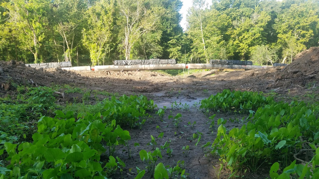 A section of the Bayou Bridge pipeline that will ultimately be dropped in the trench.