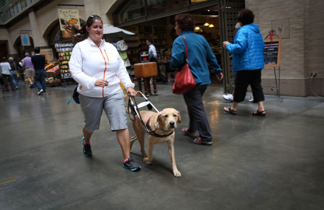 Harris with a dog from Guide Dogs for the Blind.