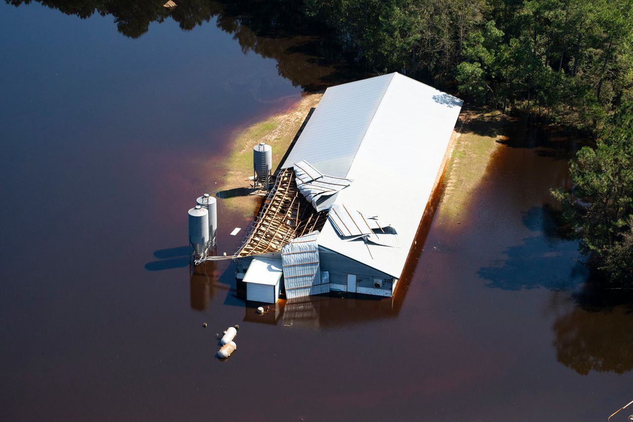 This image provided by Greenpeace shows a damaged structure on a hog farm surrounded by floodwaters in White Oak, North Carolina, after Hurricane Florence battered the area.