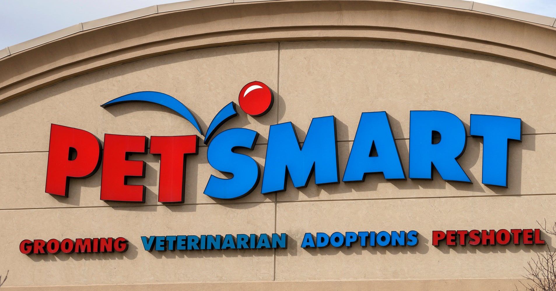 Petsmart Faces Demand For Answers After Dog Grooming