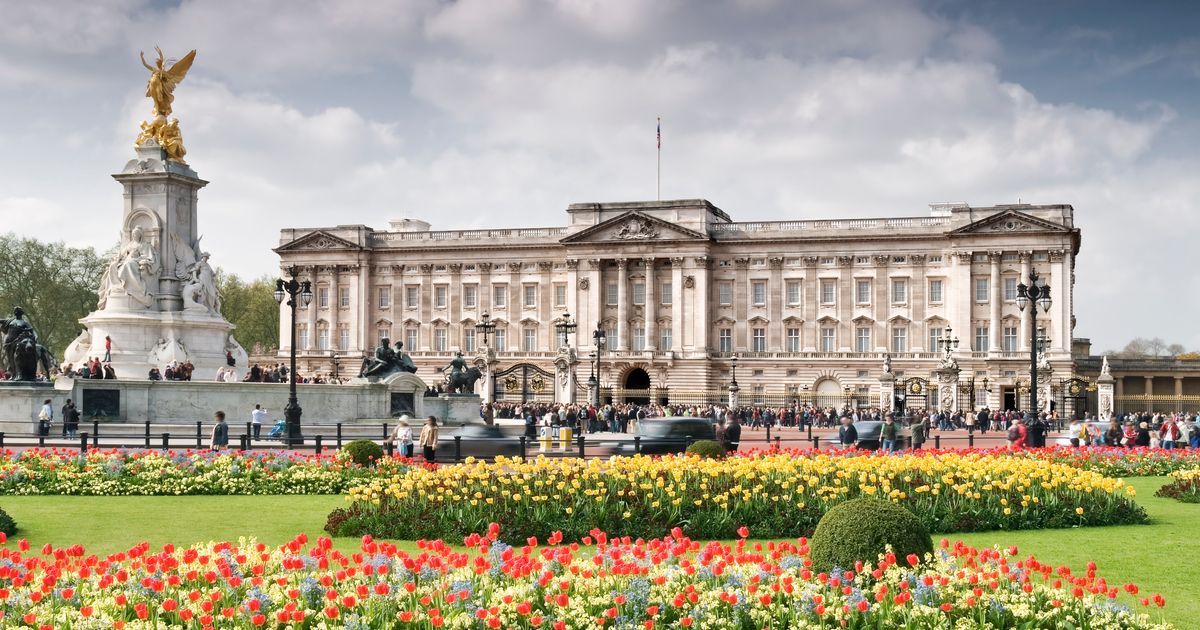 Man Released After Being Arrested At Buckingham Palace Over ‘Taser ...