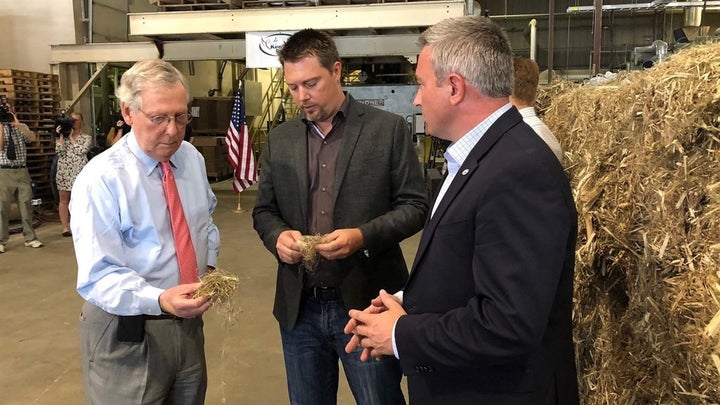 <p><a href="https://www.huffpost.com/news/topic/us-senate">U.S. Senate</a> Majority Leader Mitch McConnell, Republican of Kentucky, examines pieces taken from a bale of hemp at a processing plant in Louisville, Kentucky, earlier this year. He is leading the effort in Congress to legalize the plant, which is used to make everything from car parts to hand cream. </p>