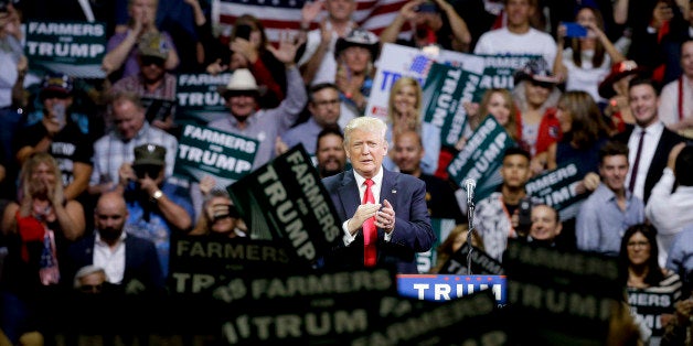 Republican presidential candidate Donald Trump speaks during a rally, Friday, May 27, 2016 in Fresno, Calif. (AP Photo/Chris Carlson)