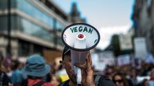 Vandalism Or Vigils? Vegans Are Divided Over How To Get People To Quit Meat