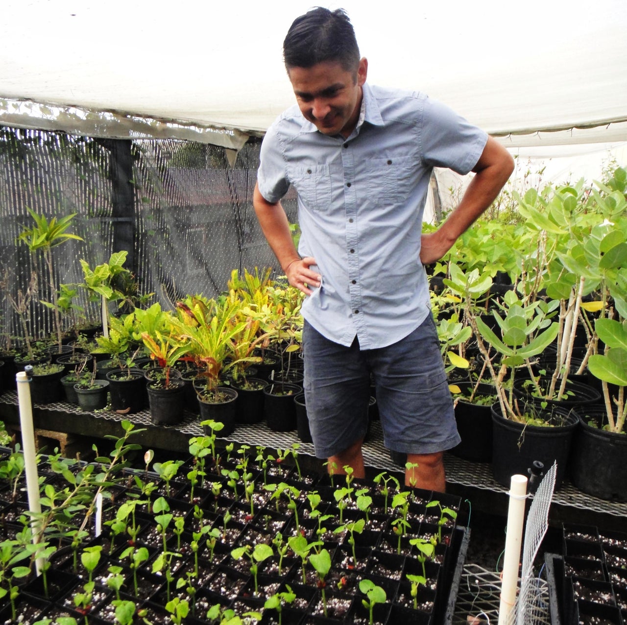 The Strange Story Behind The Animals We Know We Haven't Yet Discovered ...