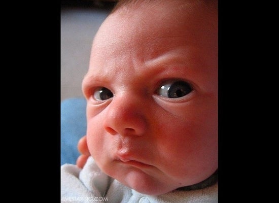Evil Toddler Meme Our 13 Favorites Pictures Huffpost Entertainment Evil Toddler Meme Our 13 Favorites Pictures Huffpost Entertainment