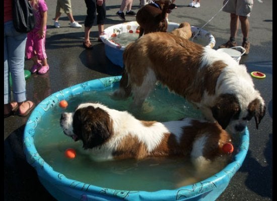 Two in the pool