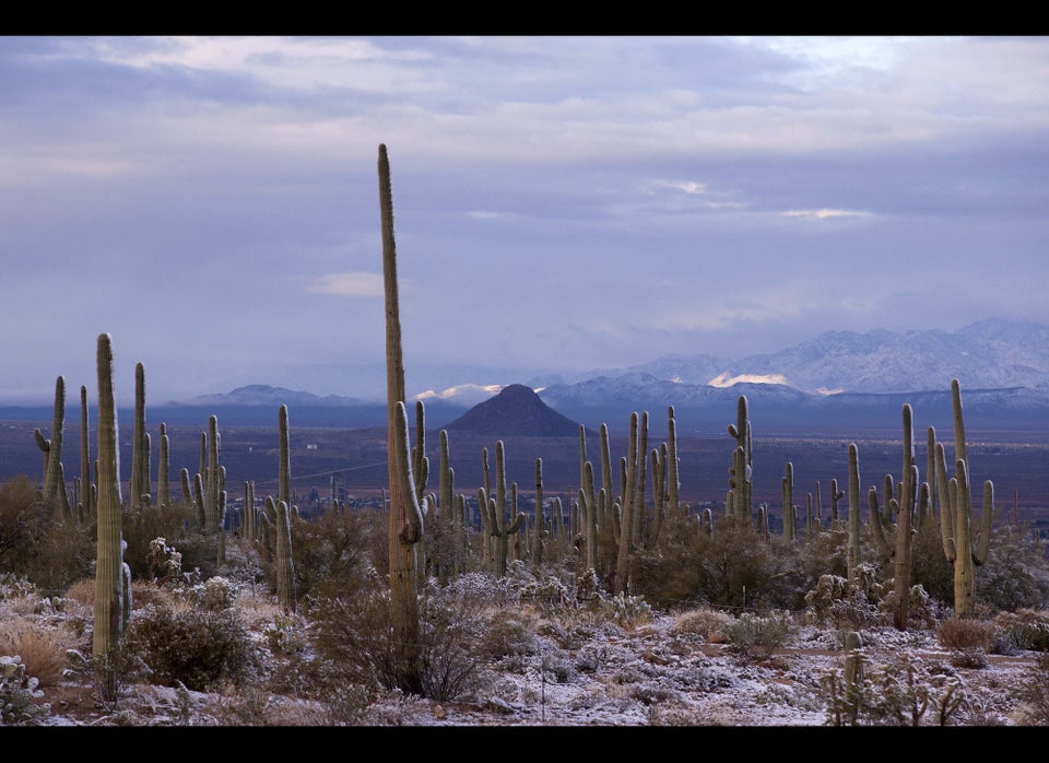 Baja Arizona