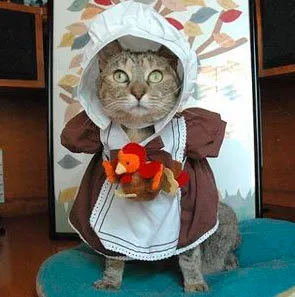 25 Pets In Pilgrim Costumes Photos Huffpost Entertainment