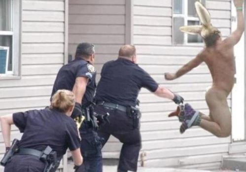 Easter Bunny On The Loose