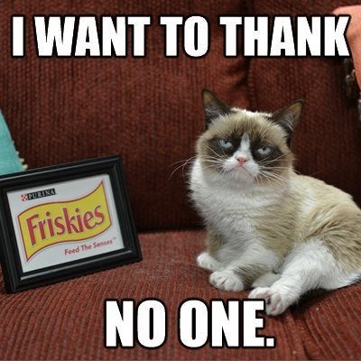 After Grumpy Cat, what memes deserve the Hollywood treatment?, Open thread