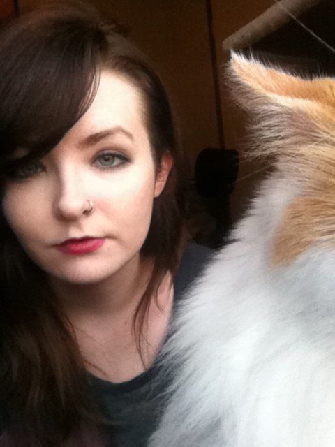 Cat Photobombs Selfies Because Enough Already With The Selfies | HuffPost