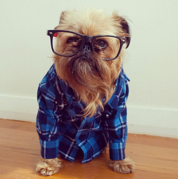 Instagram star <a href="http://instagram.com/p/fRD0FjDQAs/" target="_blank">Digby Van Winkle</a> sure is stylish!