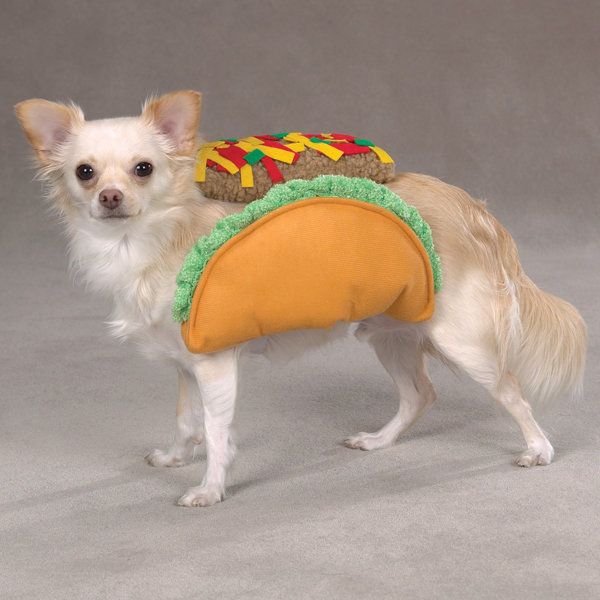 Let's All Dress Up Like Tacos For Halloween | HuffPost Entertainment