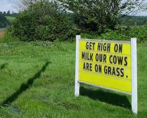13 Signs That Think They're Soooooo Funny | HuffPost Entertainment 13 Signs That Think They're Soooooo Funny | HuffPost Entertainment