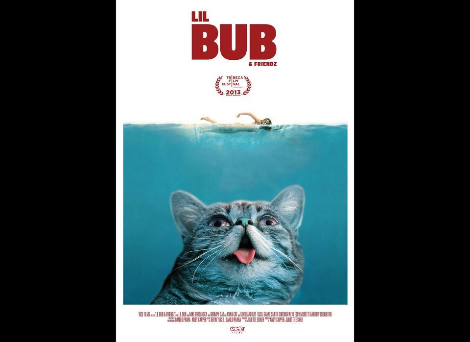 Lil Bub & Friendz Documentary Poster!