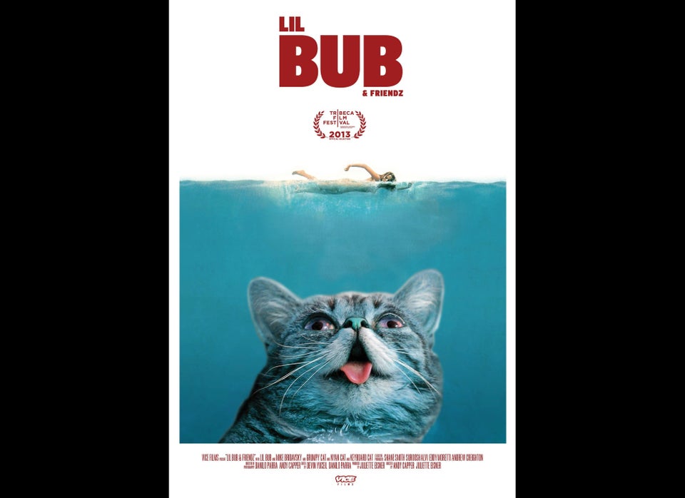 Lil Bub And Friendz Trailer From Meme To The Movies Video Huffpost Uk Entertainment