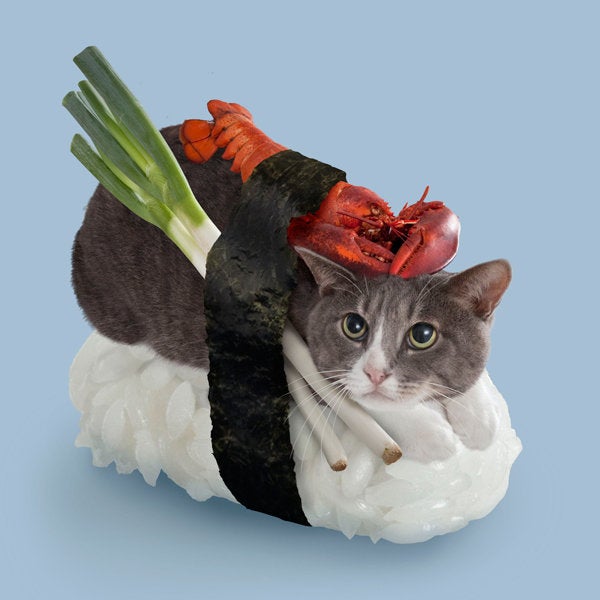 can dogs and cats eat sushi