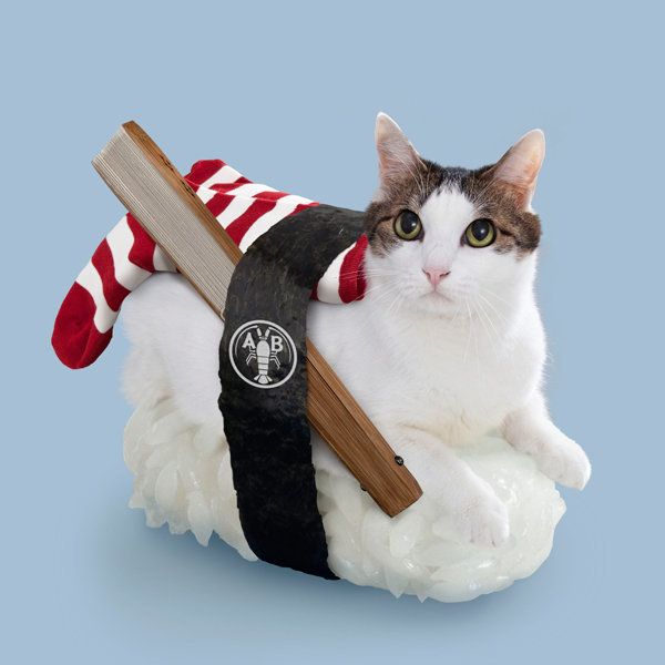 Cats + Sushi = The Most Awesome Mythical Creatures Ever | HuffPost ...