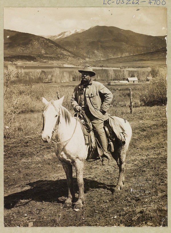 roosevelt bear hunt