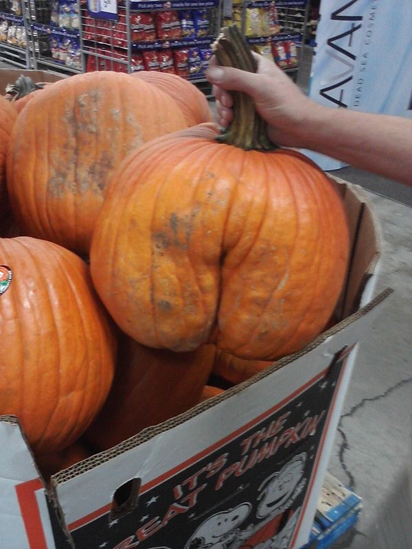 You don't even have to carve this one to be inappropriate. 