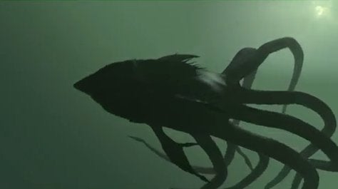 2010 Sharktopus 2010 Sharktopus