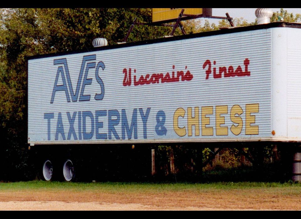 Taxidermy & Cheese