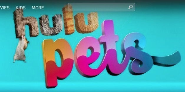 Hulu S April Fools Gag Hulu Pets Is A Pretty Convincing Streaming Service Huffpost
