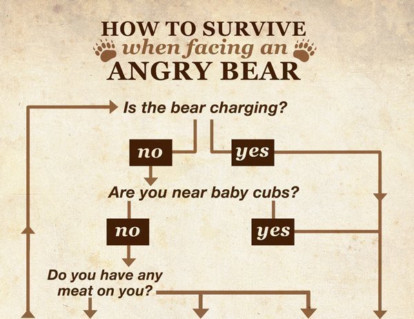 The 'How To Survive A Bear Attack' Flowchart | HuffPost