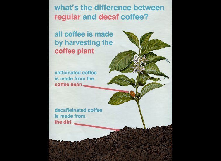 Coffee Facts