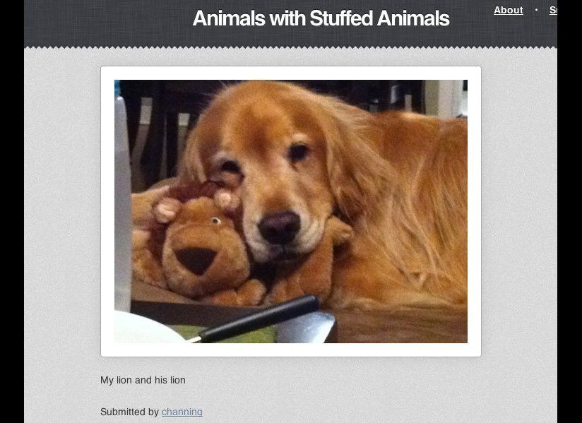 Animals with Stuffed Animals