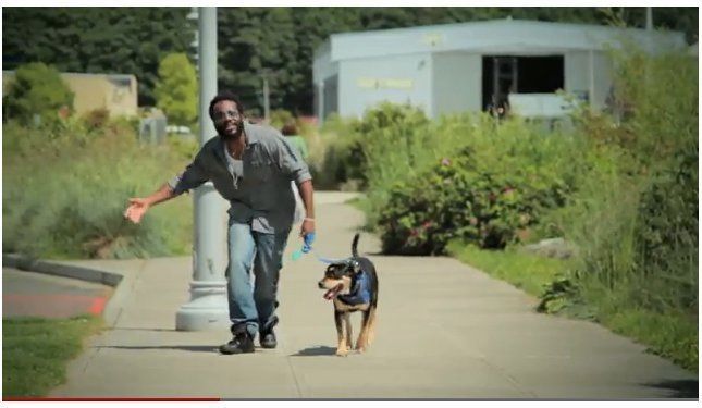 Dog Doogity Dog Poop PSA Attempts To Clean Up Puget Sound (VIDEO ...