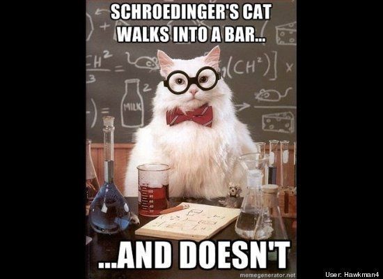 science jokes cat