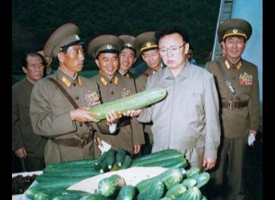 Kim Jong-Il Looking At Things