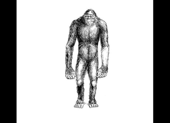 Midland County's Bigfoot likes pizza, Nutter Butters; residents